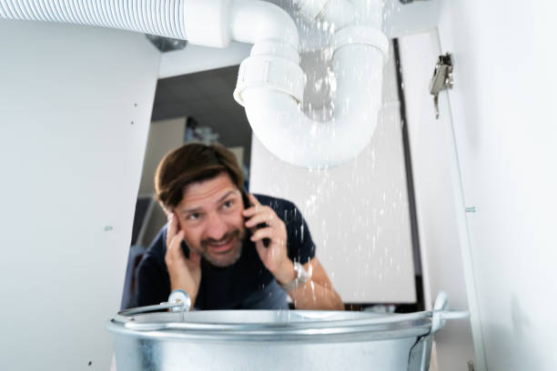 Best Affordable Plumbing Services  in Embreeville, TN