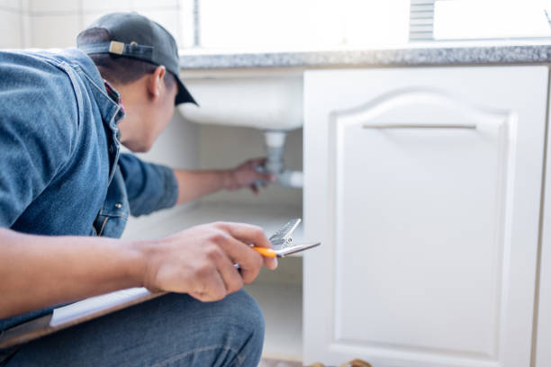 Best Local Plumber Services  in Embreeville, TN